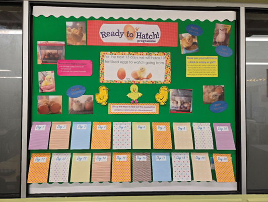 Ready To Hatch Board