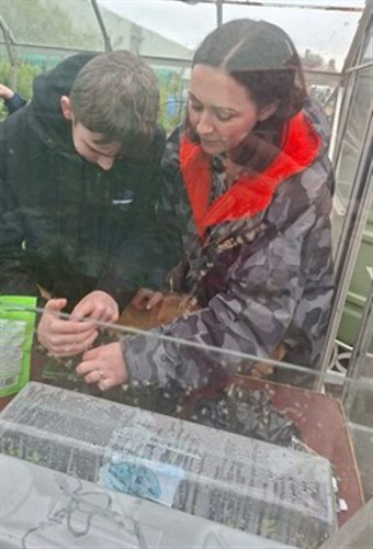 allotment_290x427.jpg