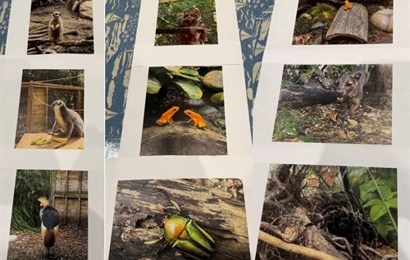 Whinfell School - Whinfell Wildlife Oasis Photography Competition