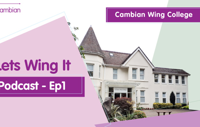 Lets Wing It Podcast Ep1