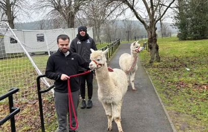 Dilston College - Animal Sessions