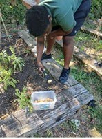 Trowel and Error Pruning