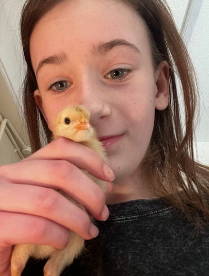 Young Person Holiday Chick